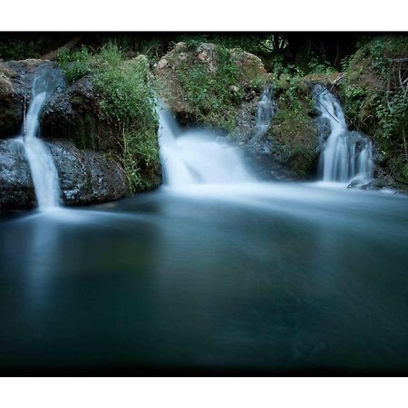 El Rincon De San Benito Konuk evi Cazalla de la Sierra Dış mekan fotoğraf